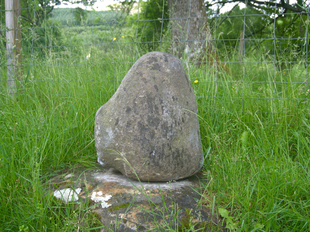 The fianna stone.