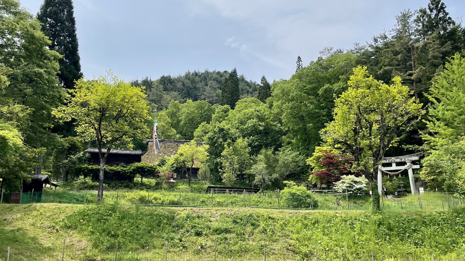 Another view of Hida Folk Village. There's lush greenery with a hidden thatched roof in the background and a torii gate on the right side.