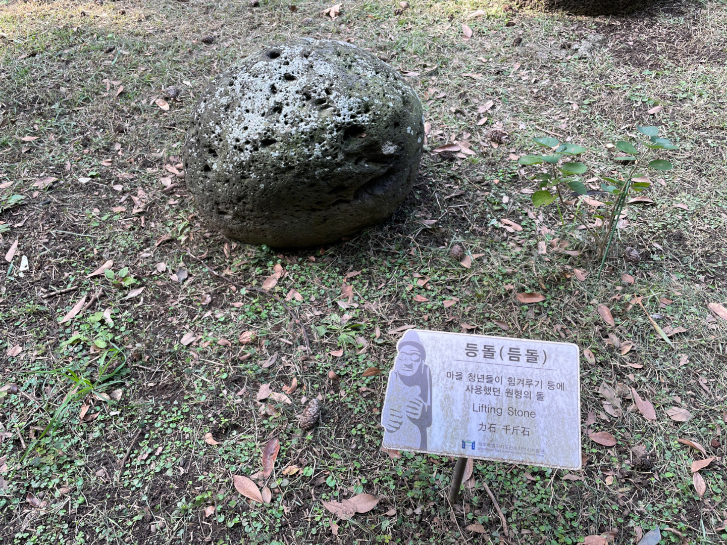 A lifting stone at Jeju Folklore and Natural History Museum