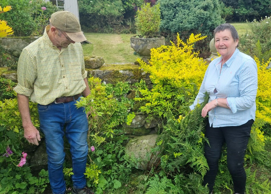 A man and a woman are in a garden. The woman has pulled back some foliage, revealing a large stone next to a wall.