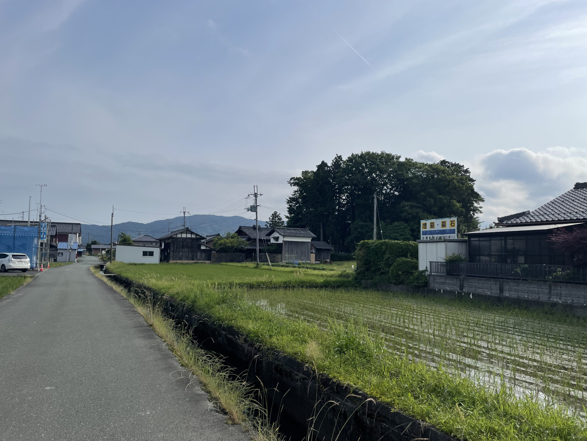 Walking down a narrow road past some modern rectangular rice fields with a young crop. An irrigation canal flows next to the road.
