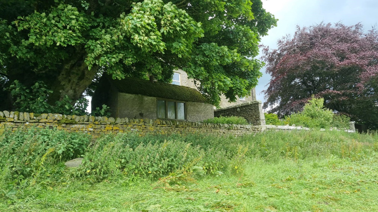 A landscape photograph showing a long wall with a farmhouse on the other side. In front of the wall there's an overgrown nettle bed. On the left side of the nettles, part of a stone is visible.