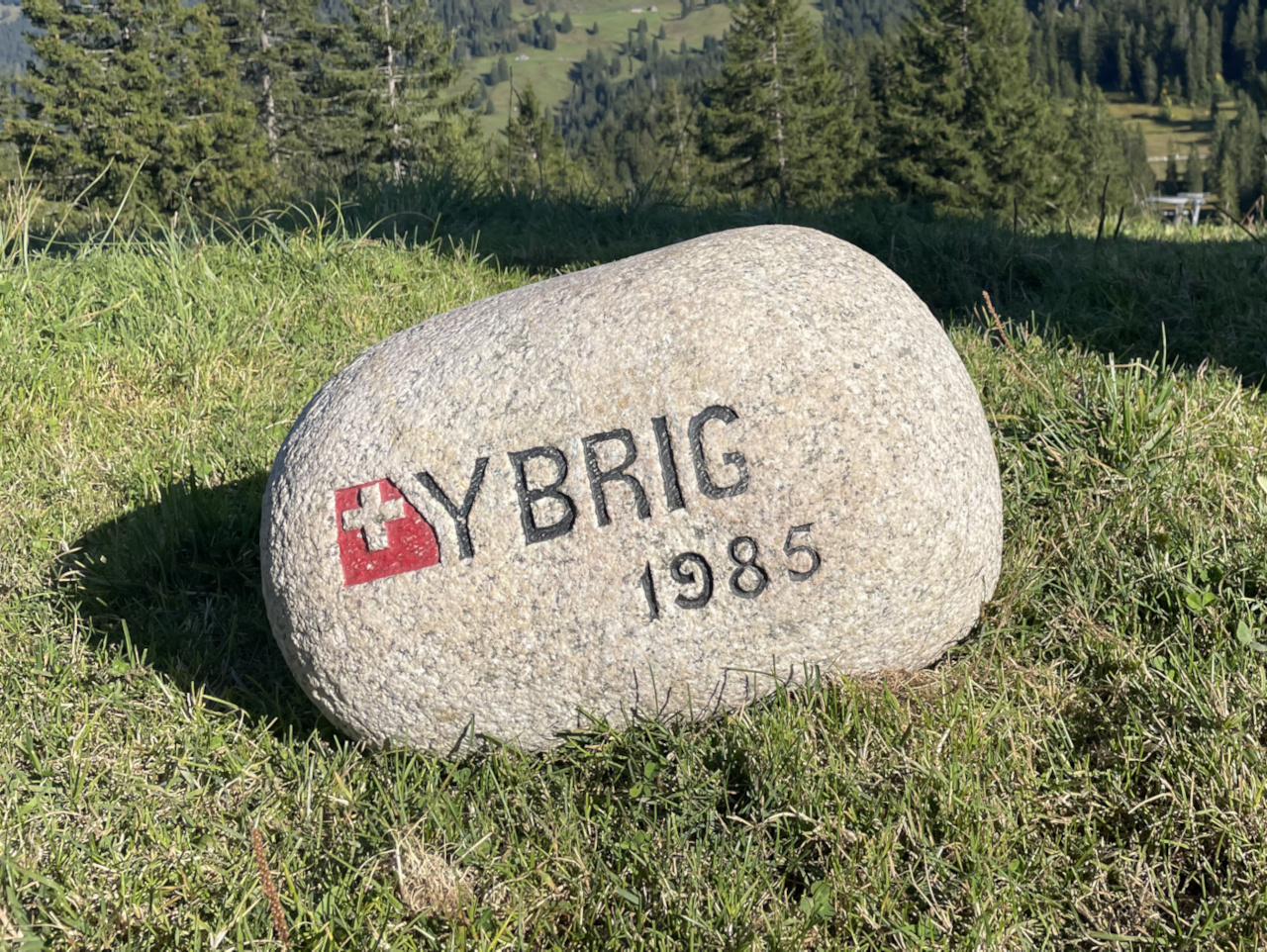 The Ybrig Stone lead image.